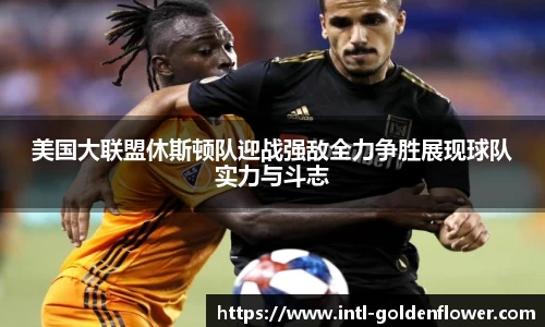 美国大联盟休斯顿队迎战强敌全力争胜展现球队实力与斗志