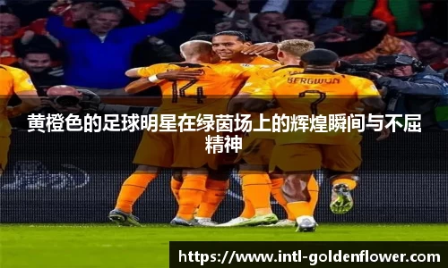 黄橙色的足球明星在绿茵场上的辉煌瞬间与不屈精神